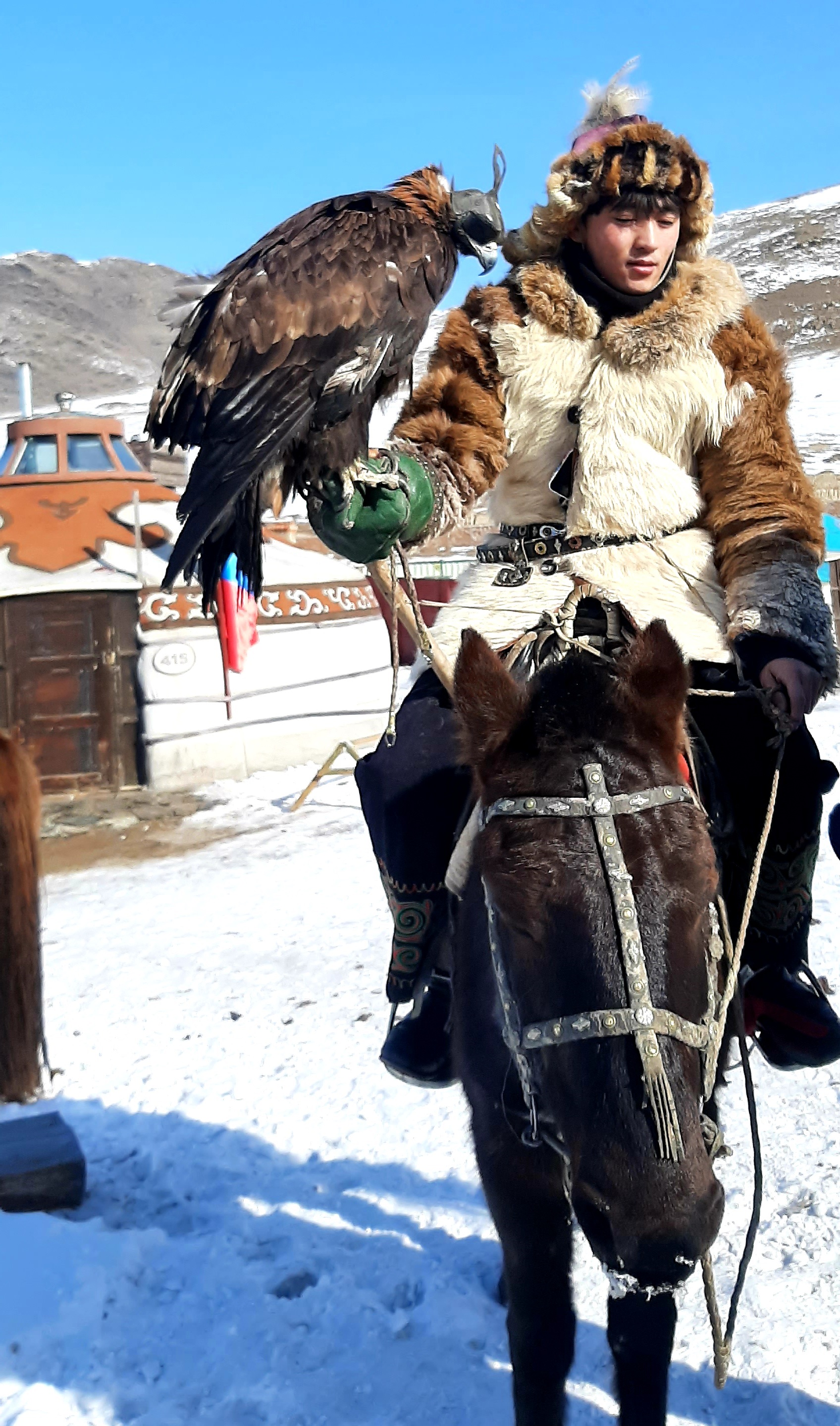 Kazakh eagle hunter riding horseback with golden eagle in Mongolia